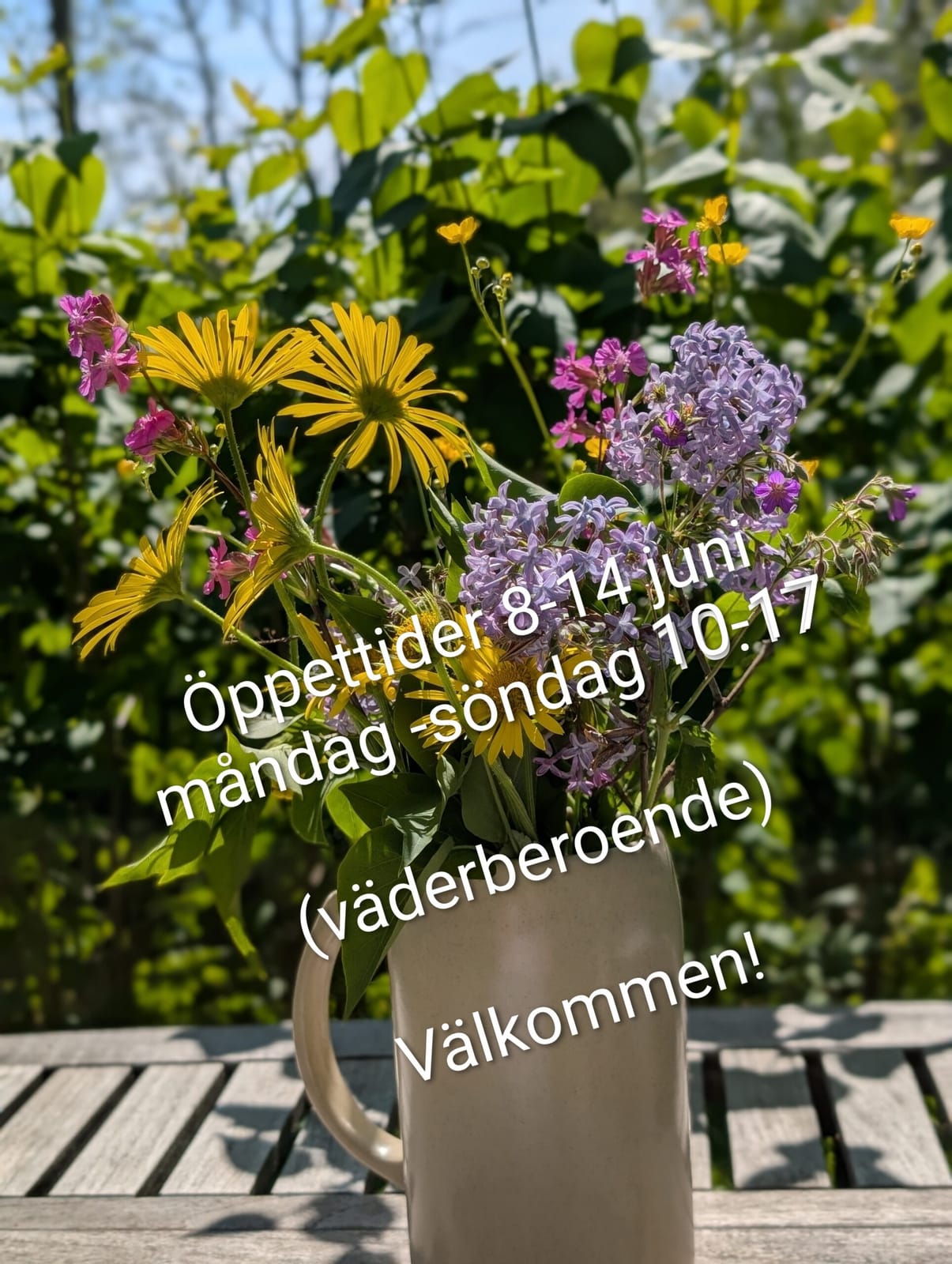 Blockhusporten photo 3