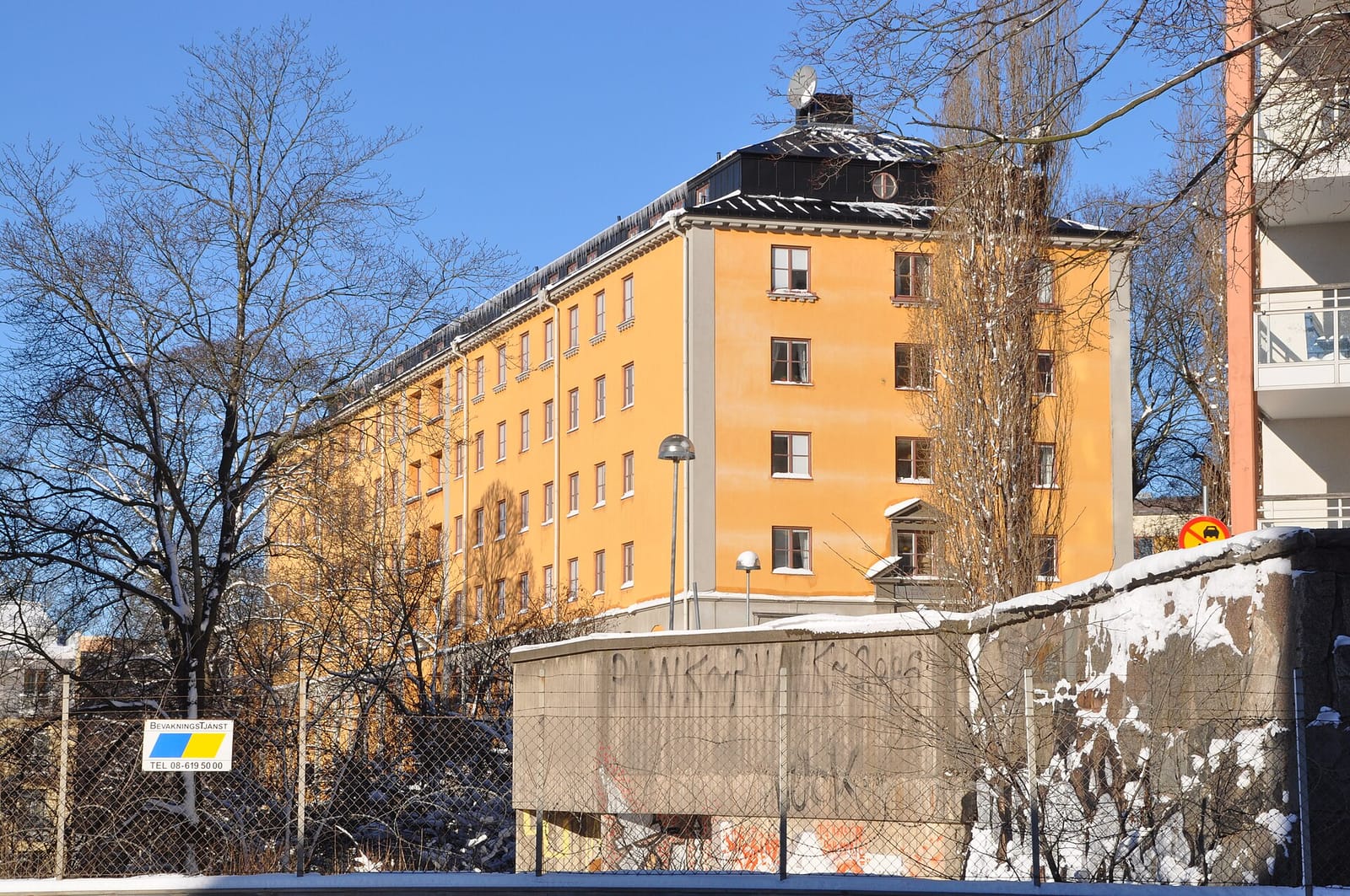 Ritorno photo 5