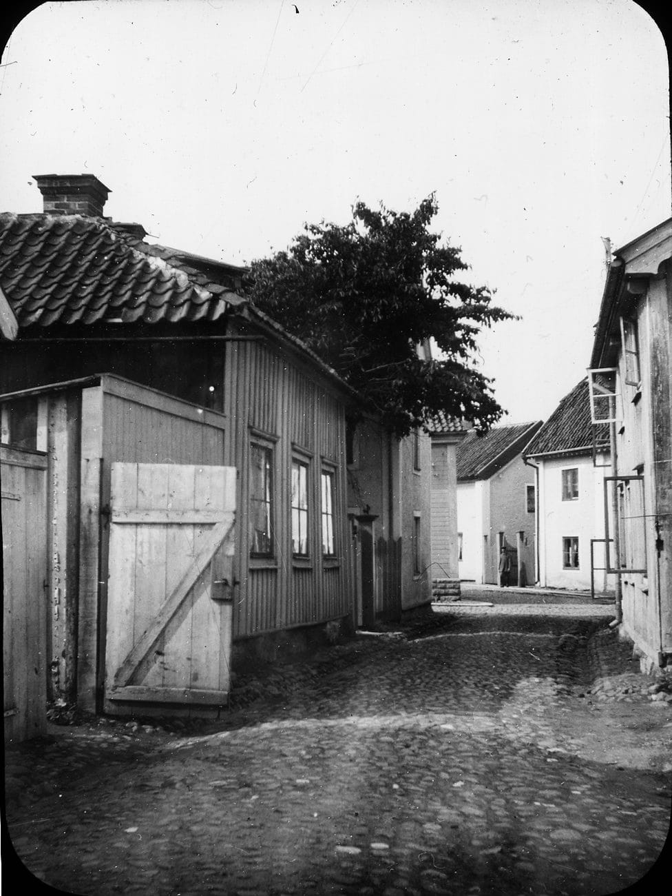 Ektrollet photo 2