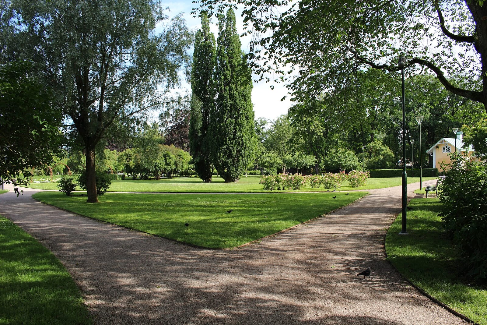 Tantens Gröna Parkcafé photo 2