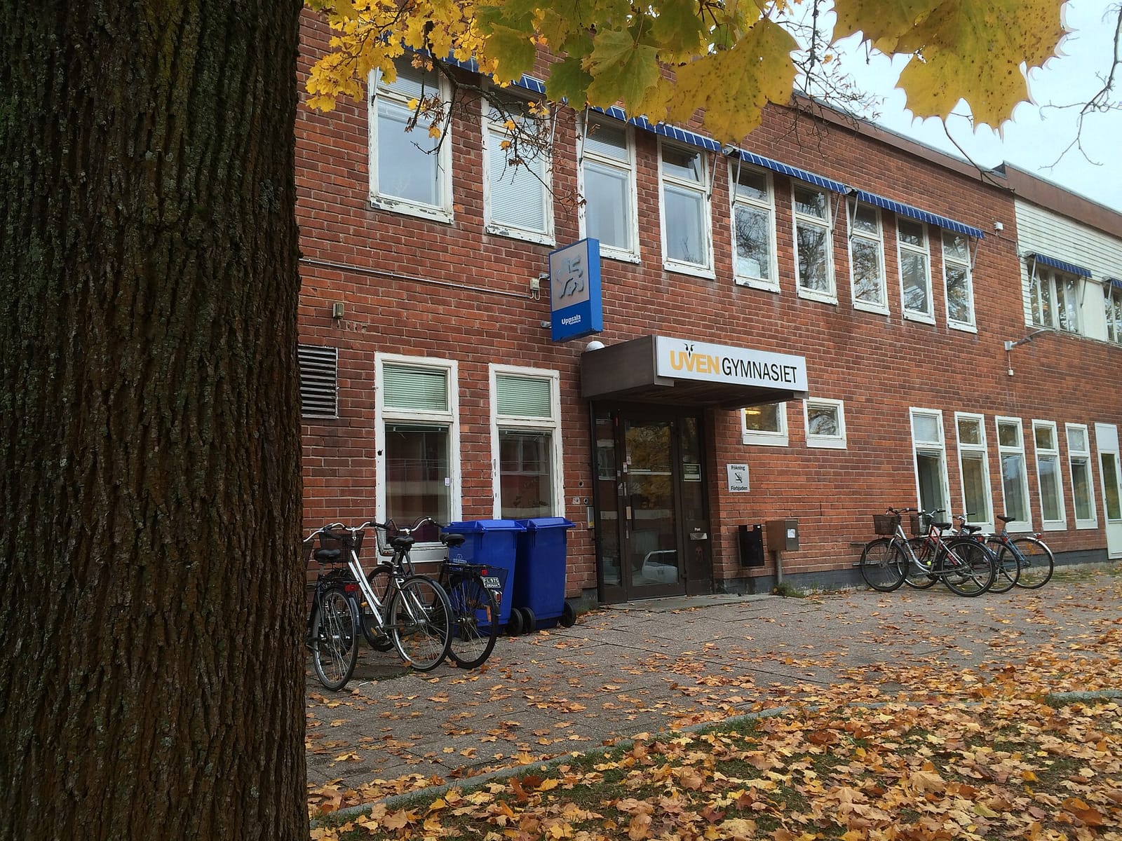 Bageri Brantingstorg photo 3
