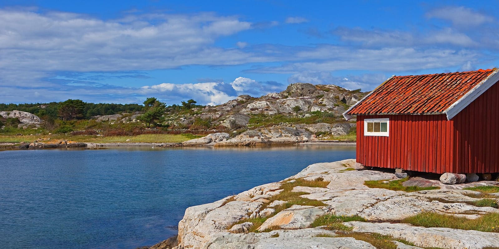 Kosters Trädgårdar photo 5