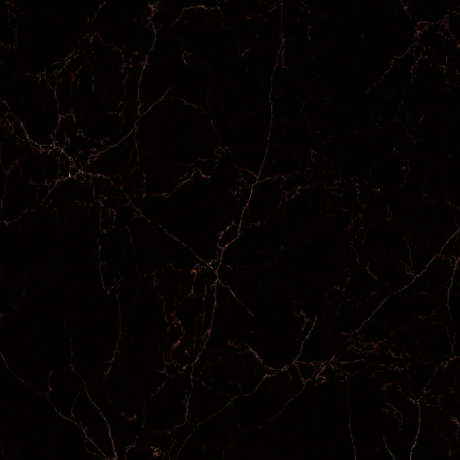 baker & cook photo 2