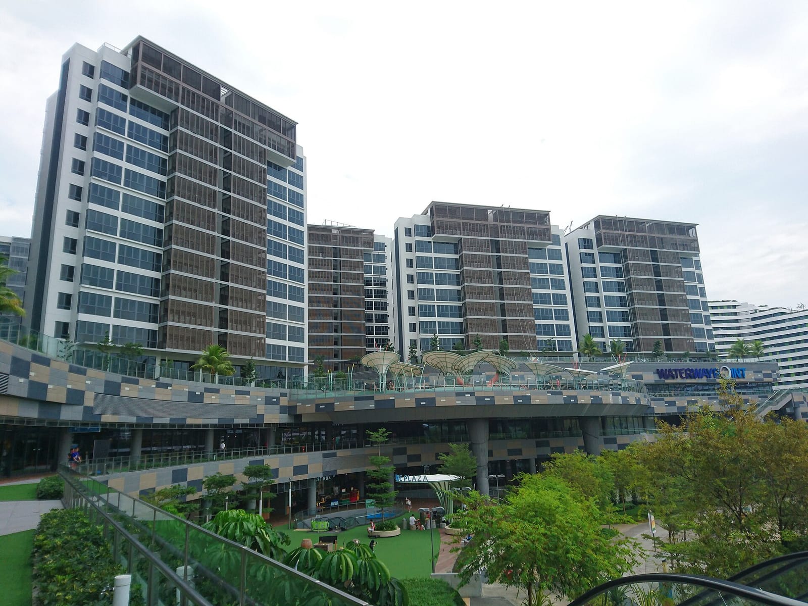 The Coffee Bean & Tea Leaf photo 2