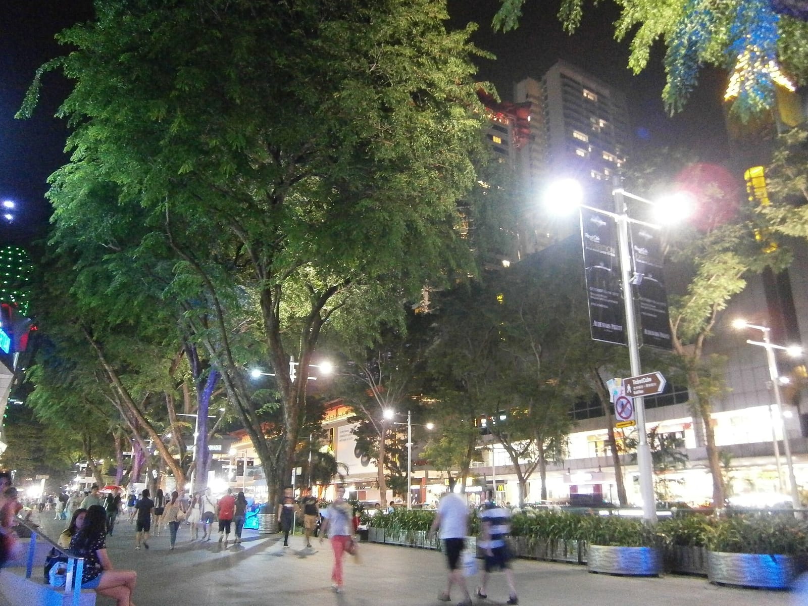 LiHO photo 4