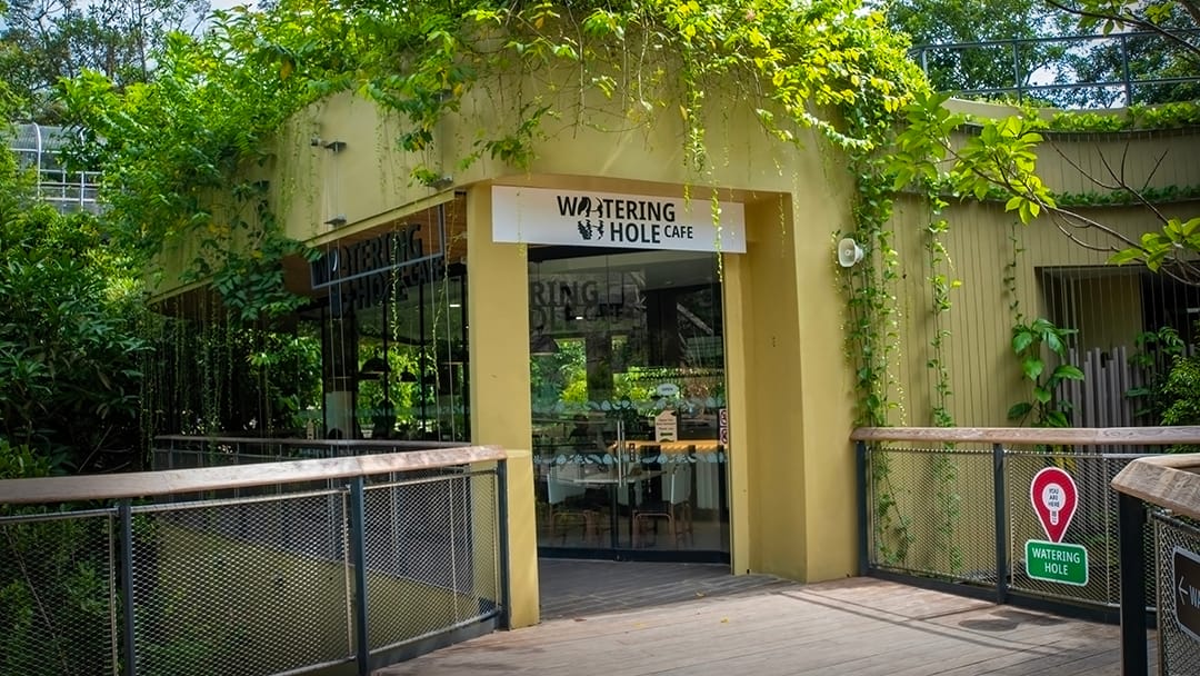 Watering Hole Cafe
