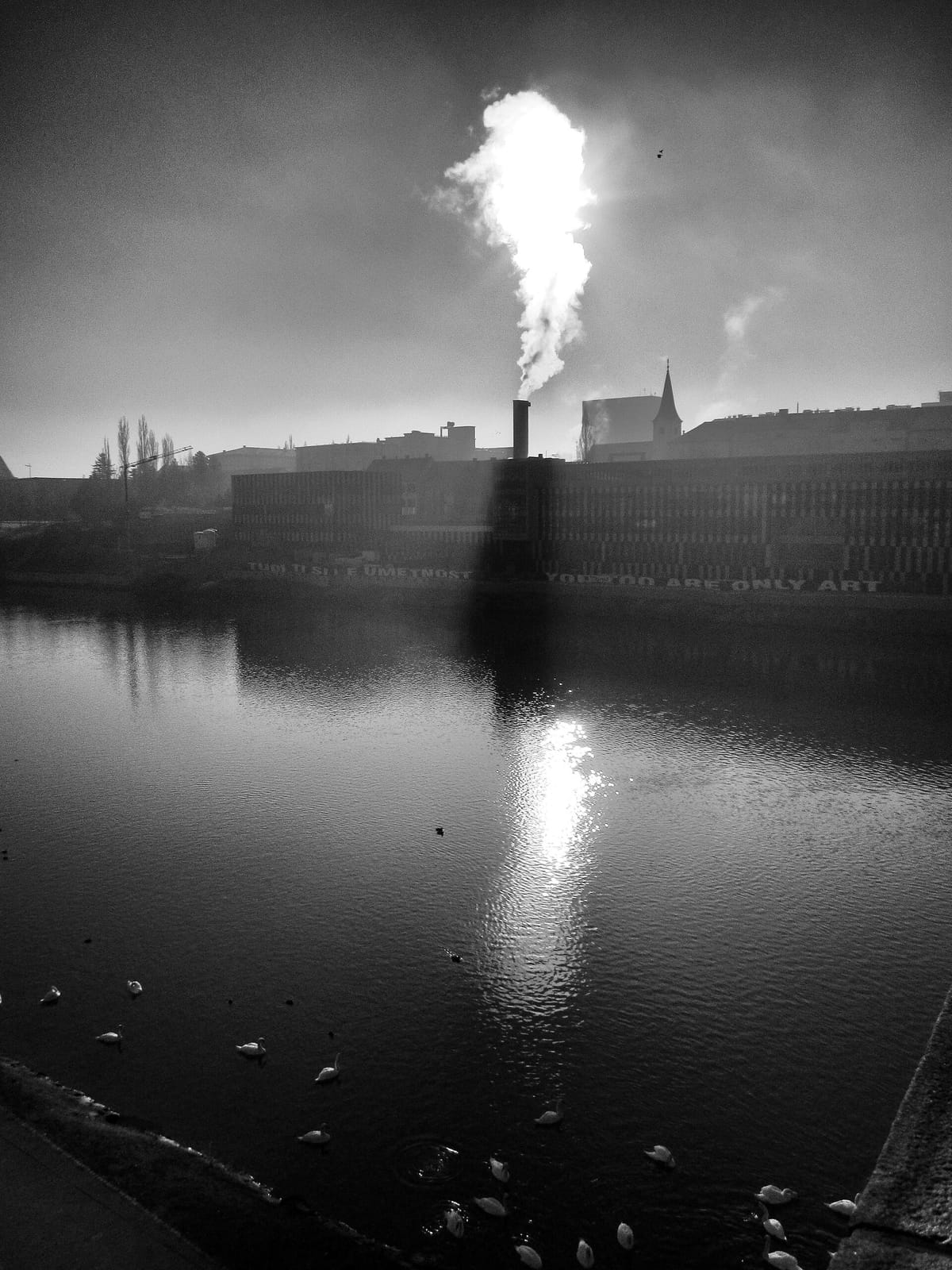 Caffetteria City photo 2