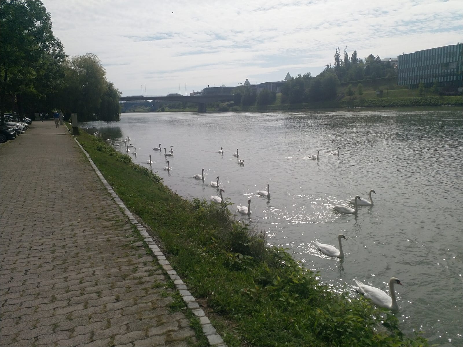 Kavarnica Rokaj photo 2