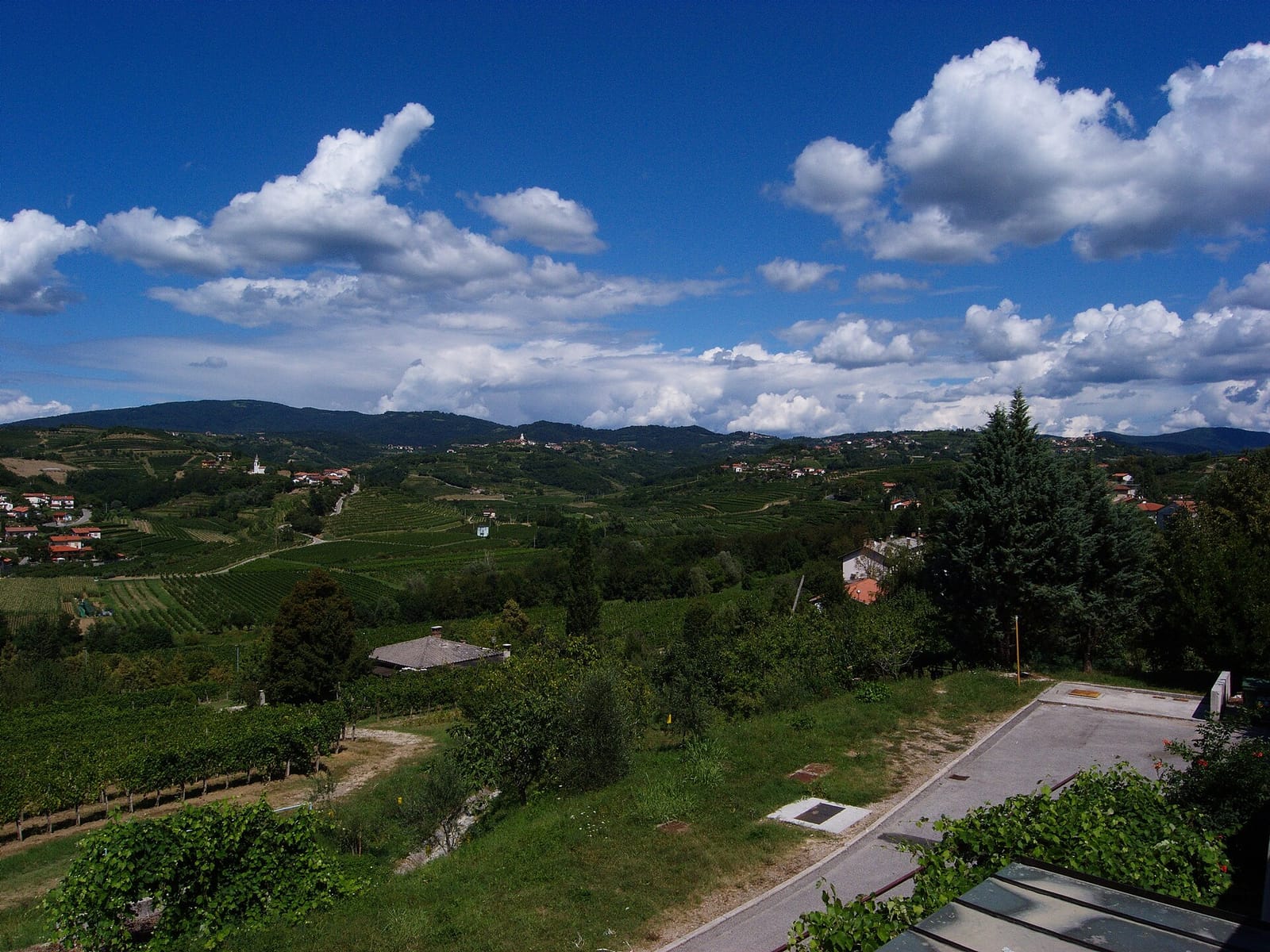 Mjrka photo 2