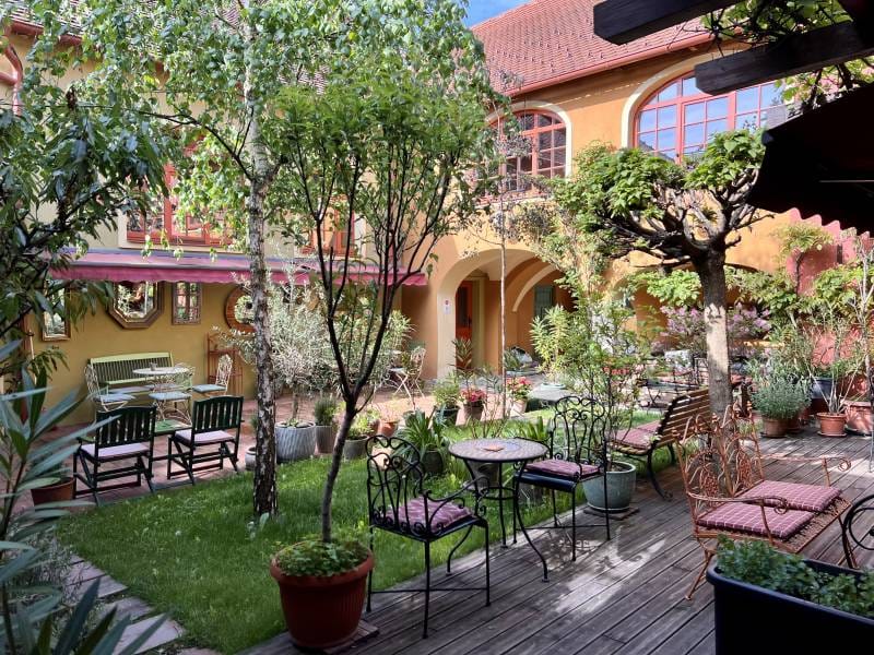MuziKafe - kavarna photo 6