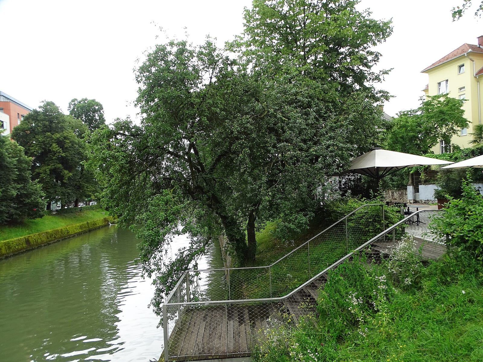 EK Bistro