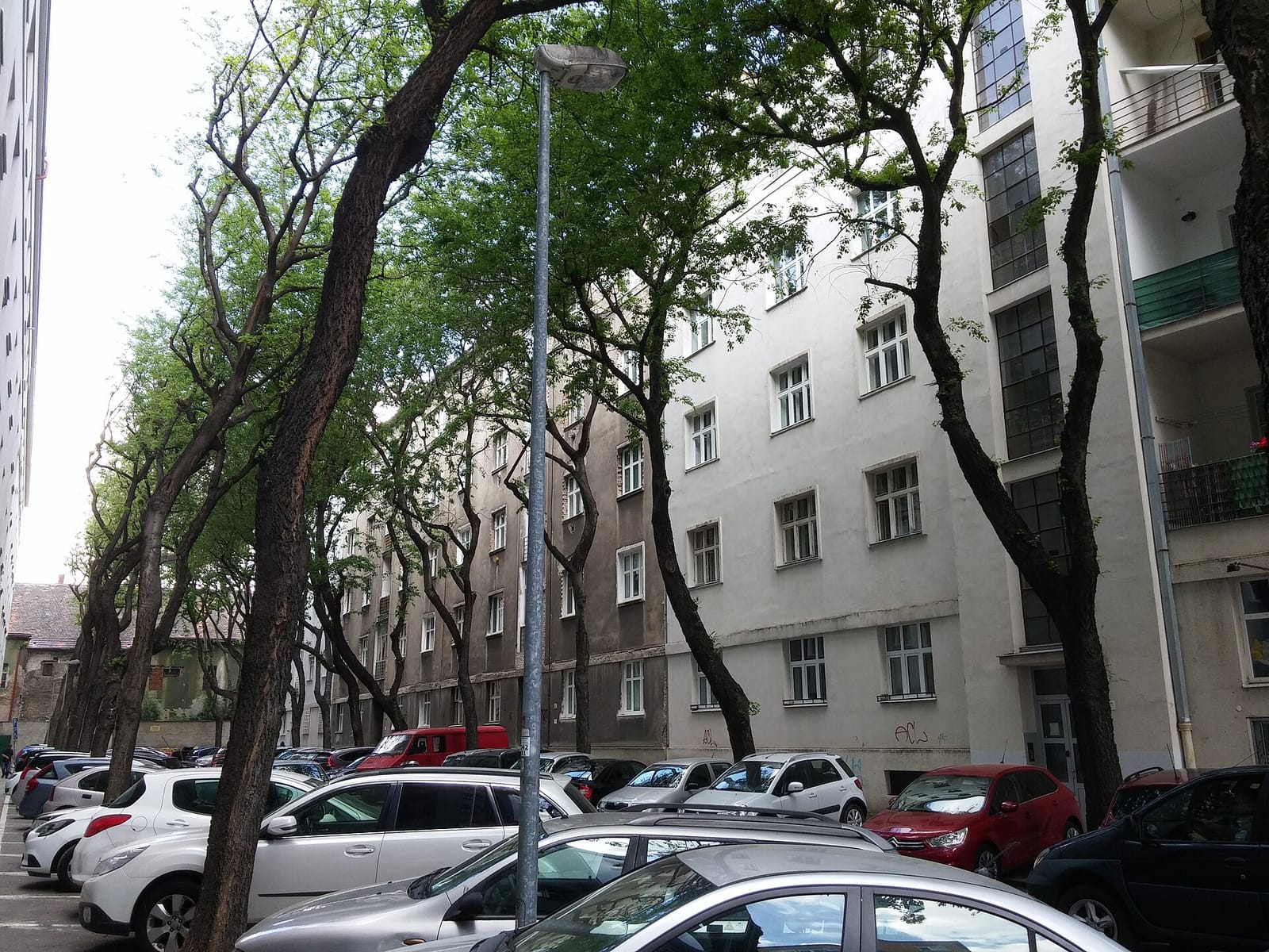 Spusta photo 3