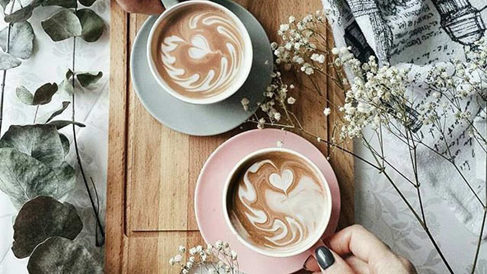 Meg-A-Latte photo 4