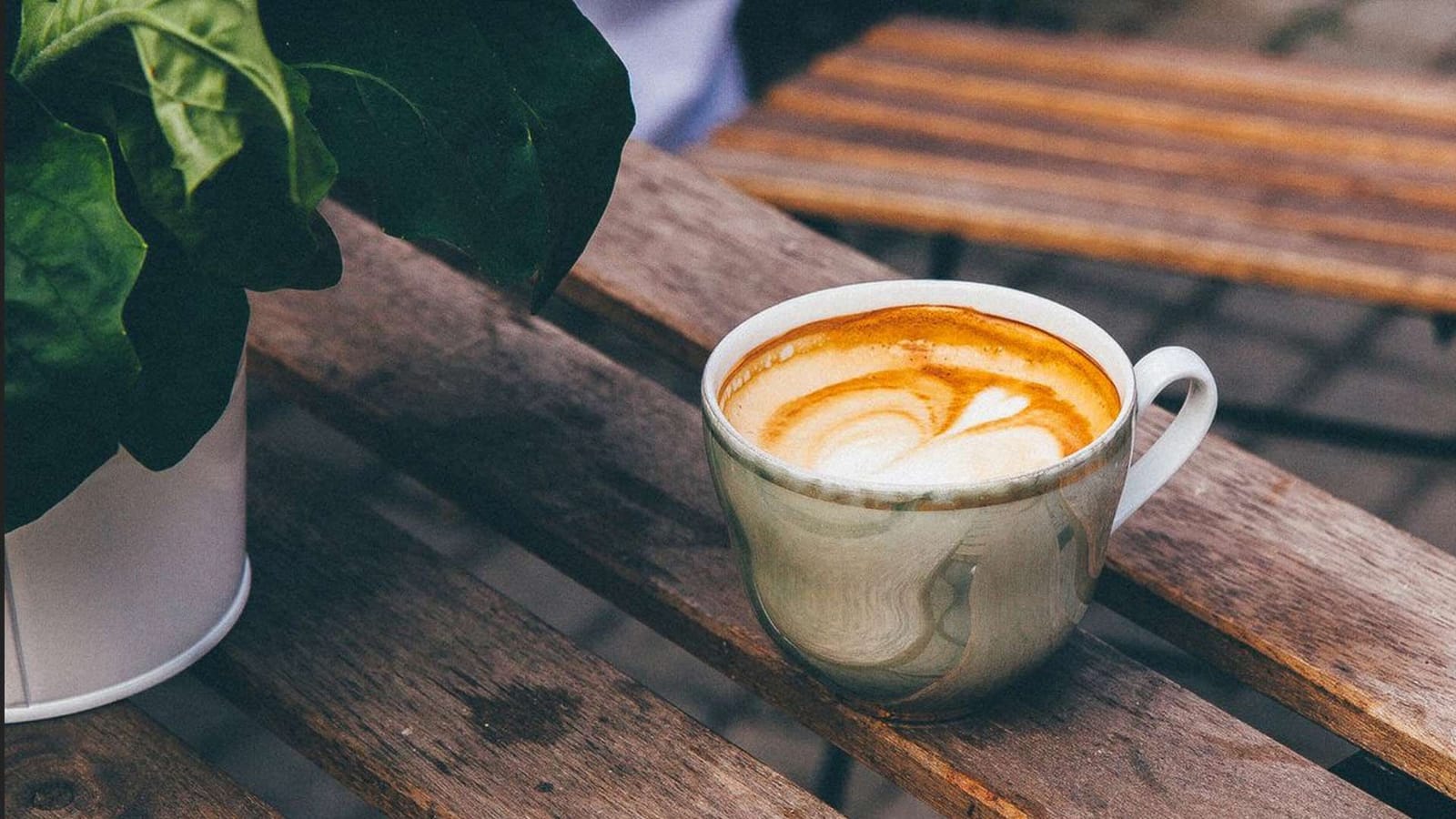 Meg-A-Latte photo 6