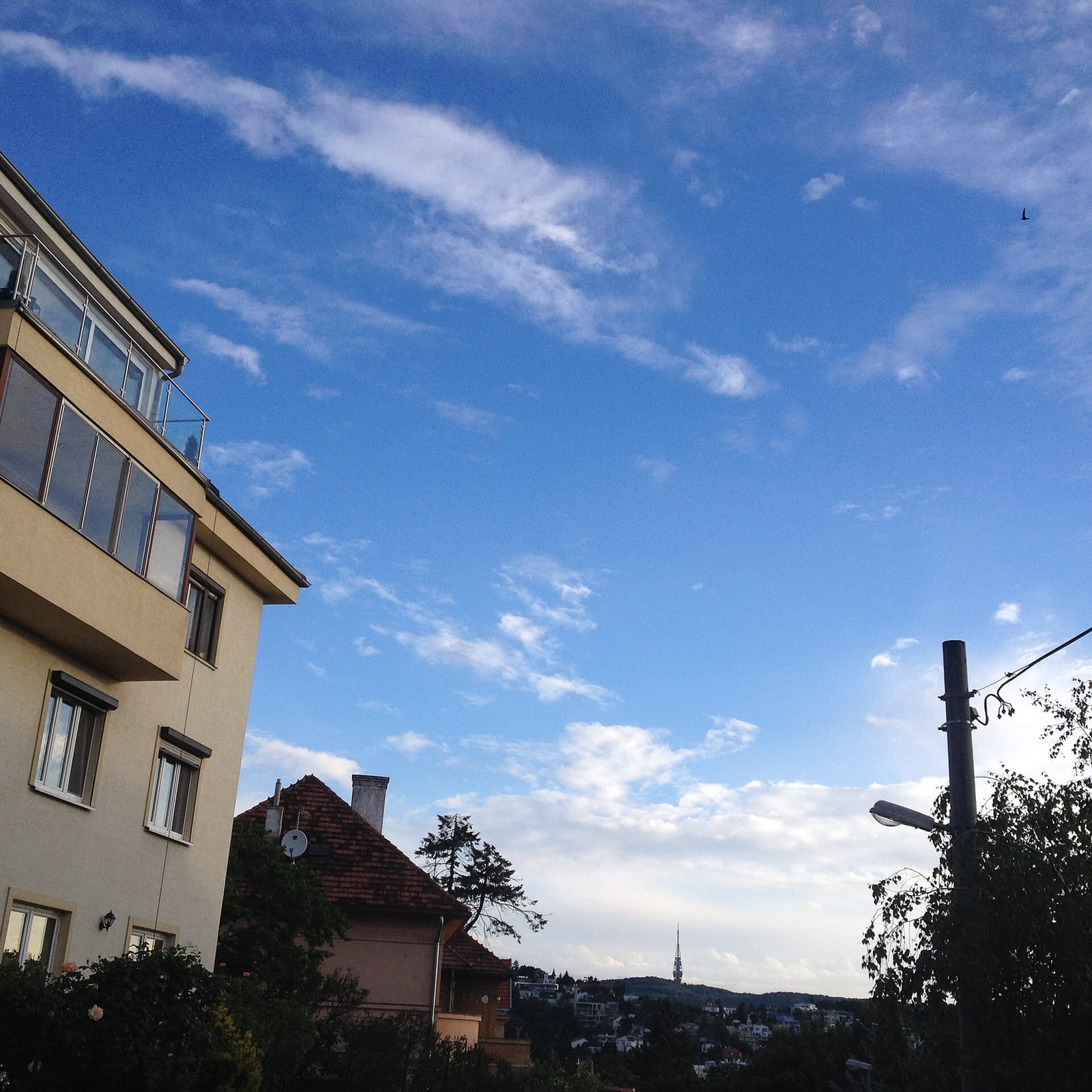 Giselle Bratislava photo 2