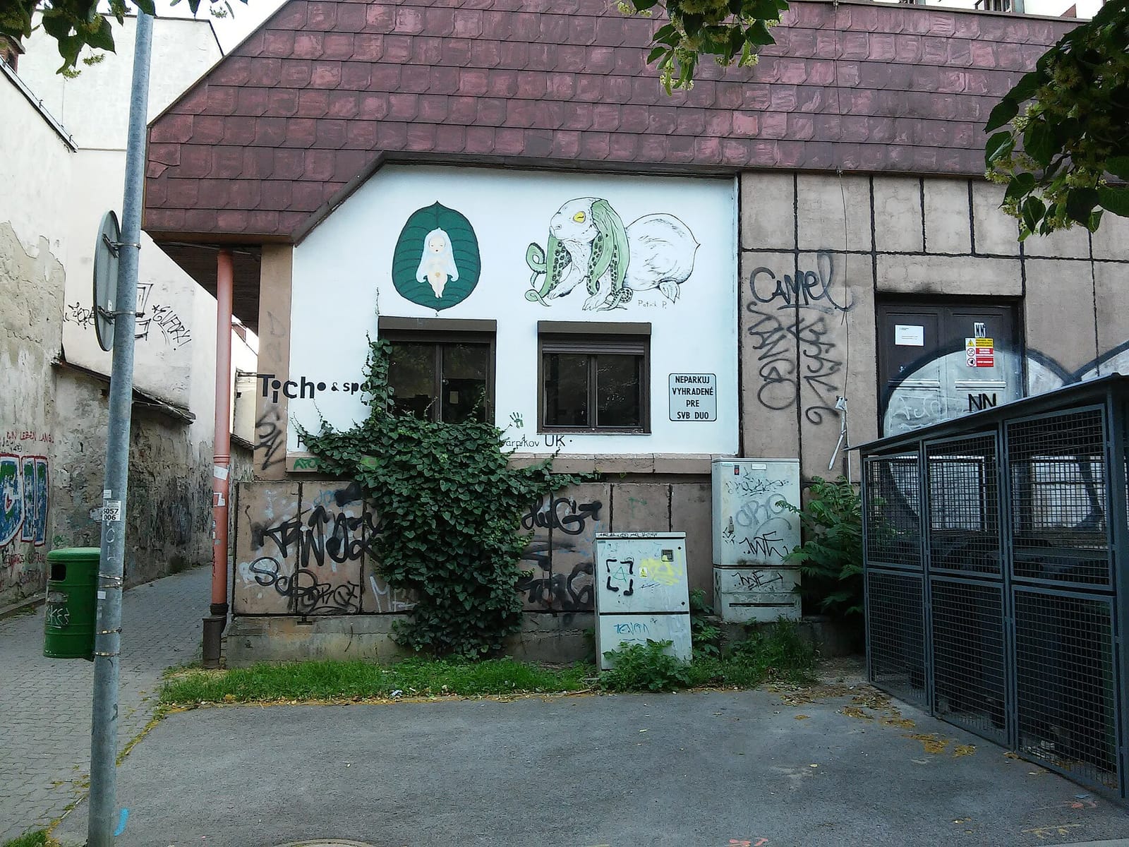 Mačinézy photo 4