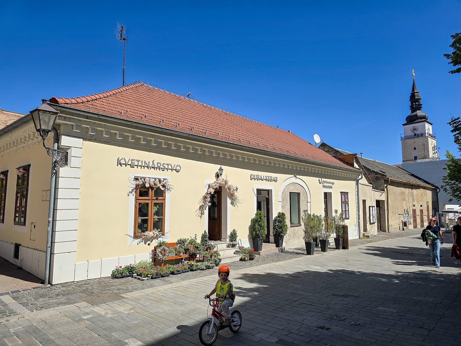 Bábovka photo 4