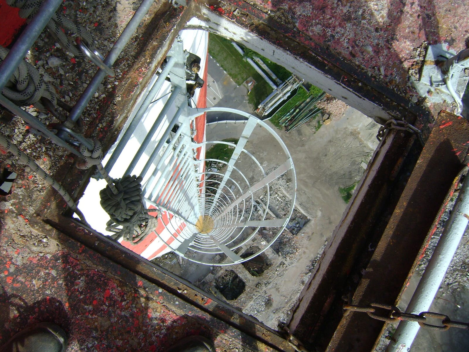 Jungle Wild Roastery photo 3