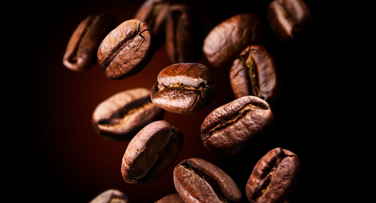 Coffee Factory photo 2