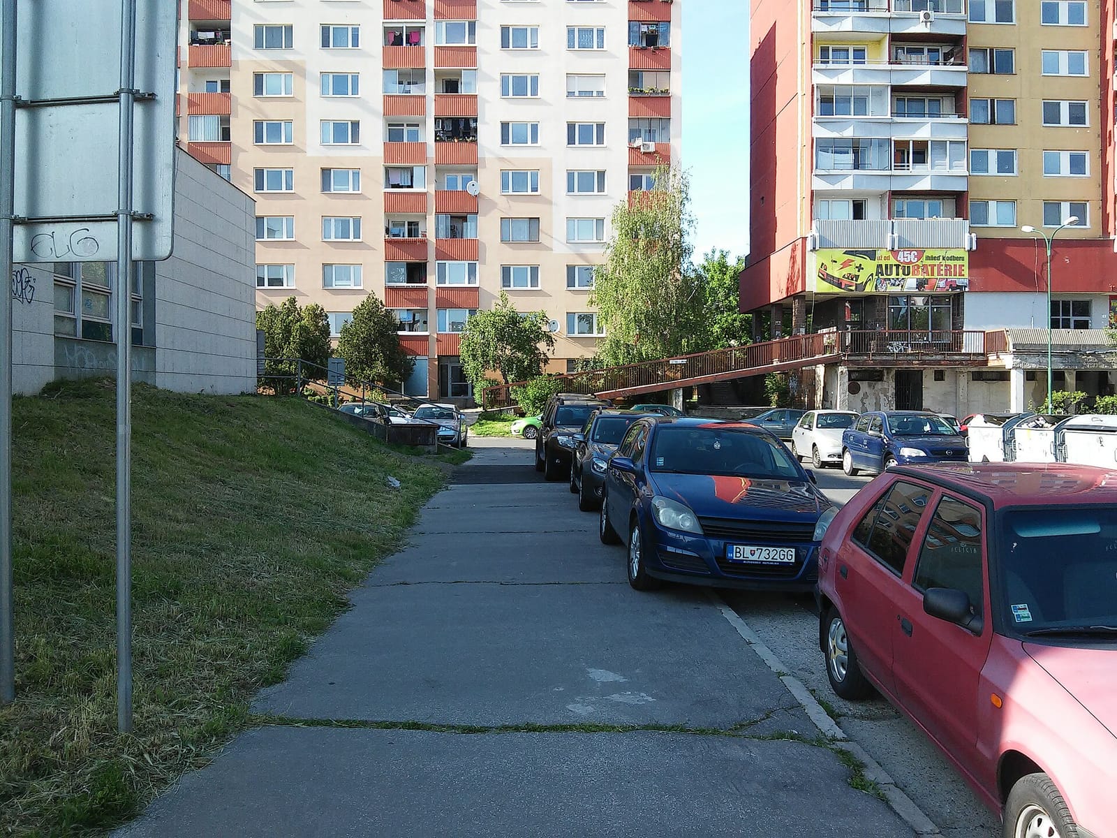 WELLMASS photo 2