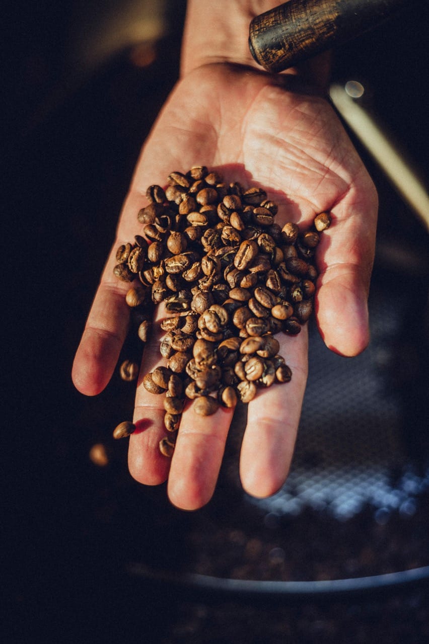 Spojka Roastery Company photo 5