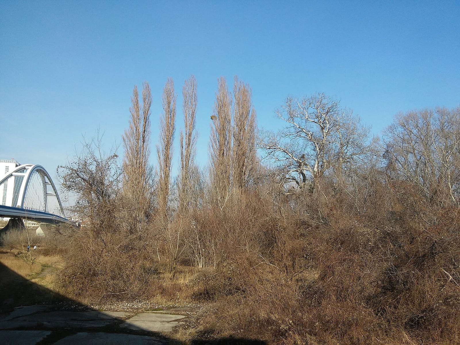 Bufet 24 photo 3