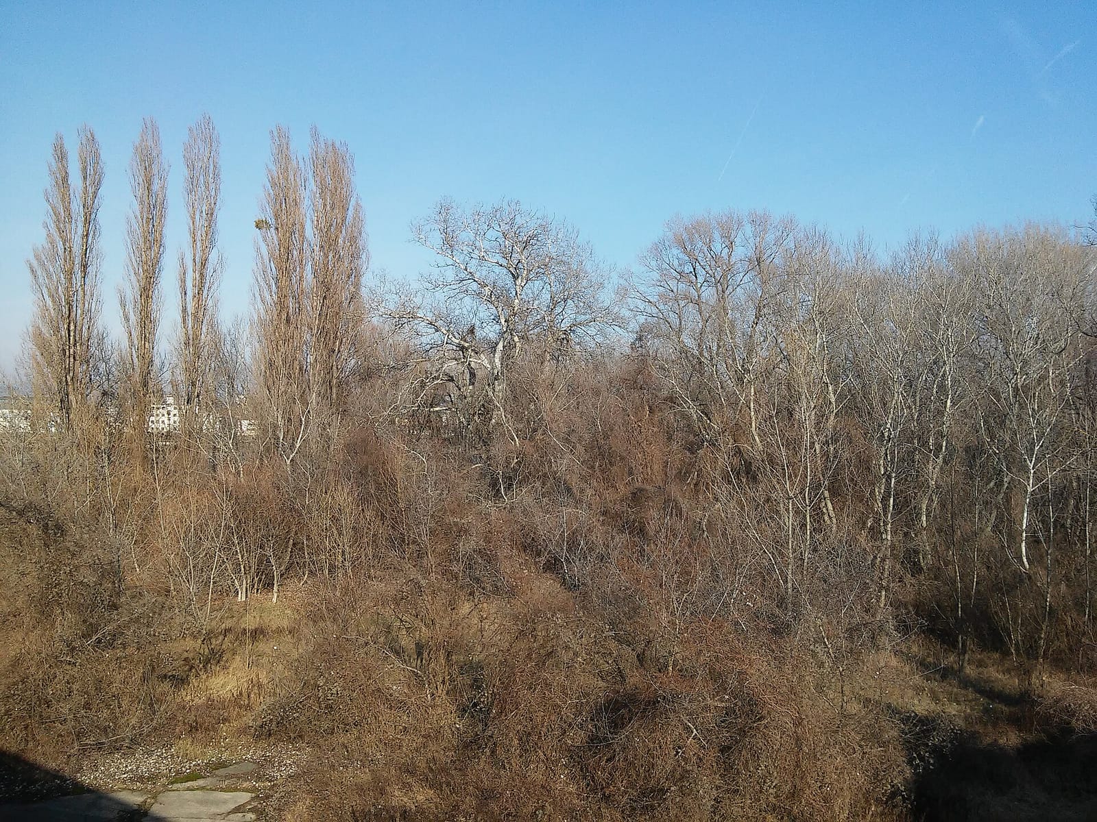 Bufet 24 photo 2