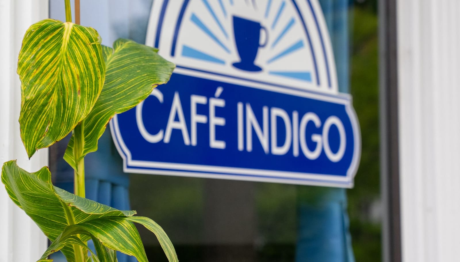 Cafe Indigo