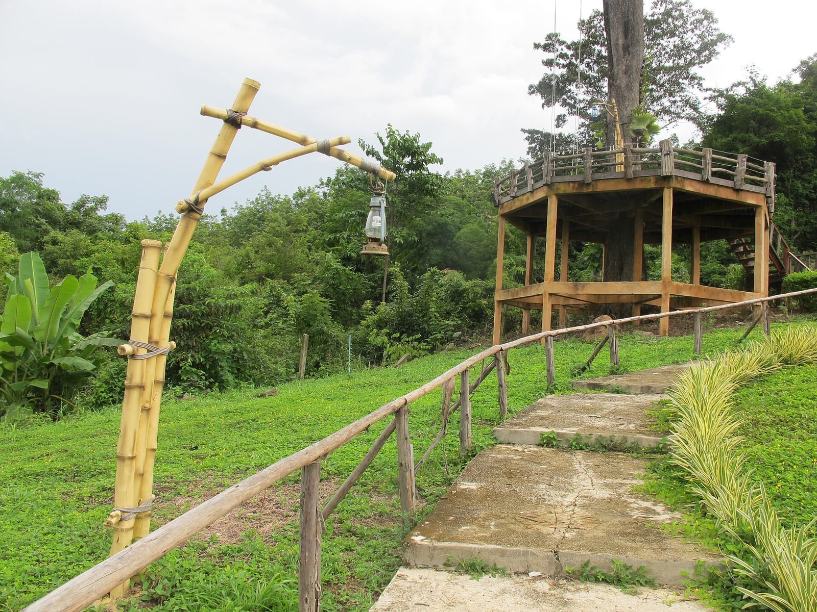 Treehouse Resort photo 2