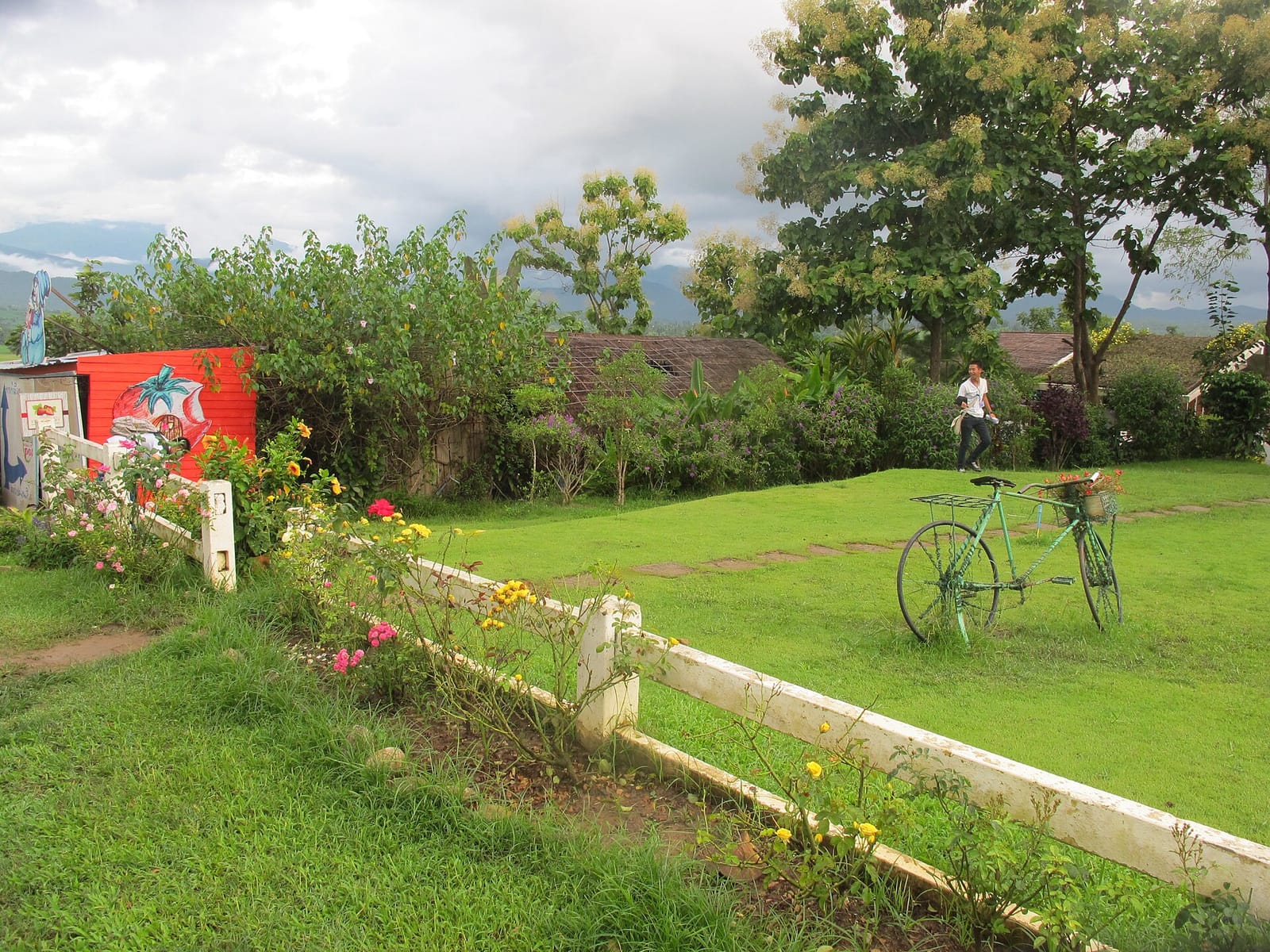 Treehouse Resort photo 4