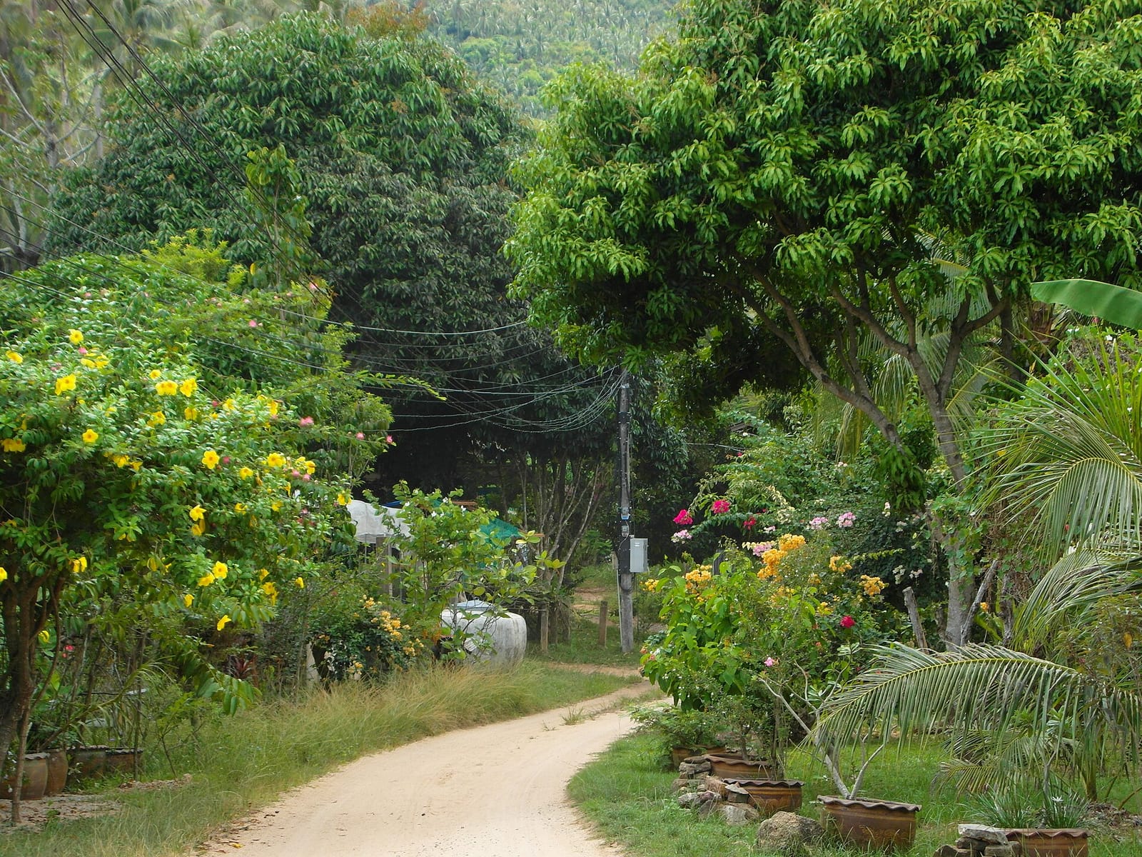 Samui Food Factory
