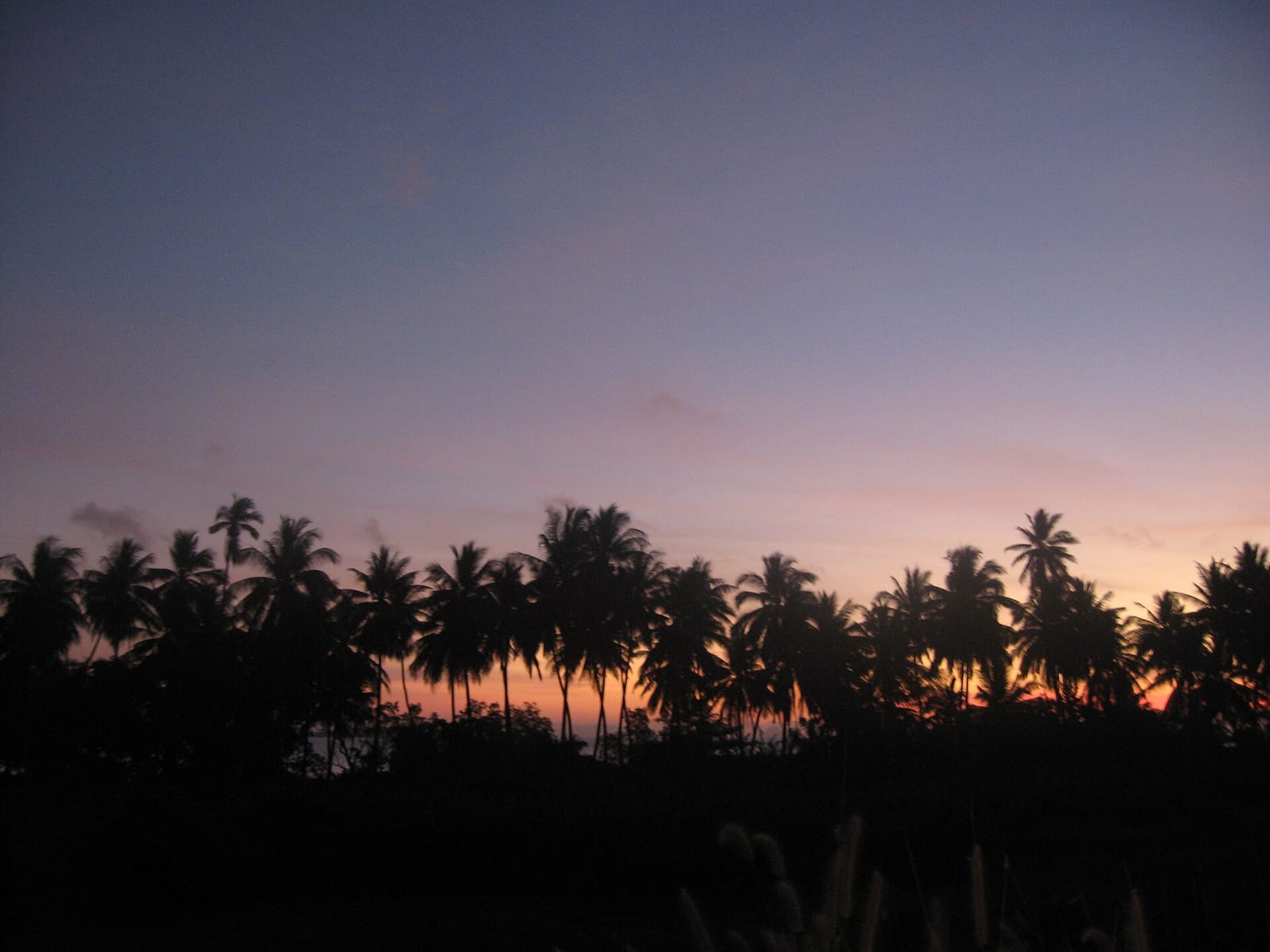 Panorama Restaurant photo 3