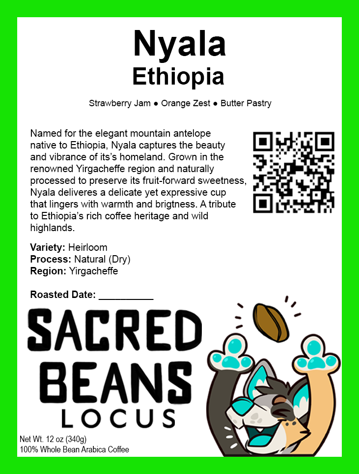Sacred Beans Coffee photo 5