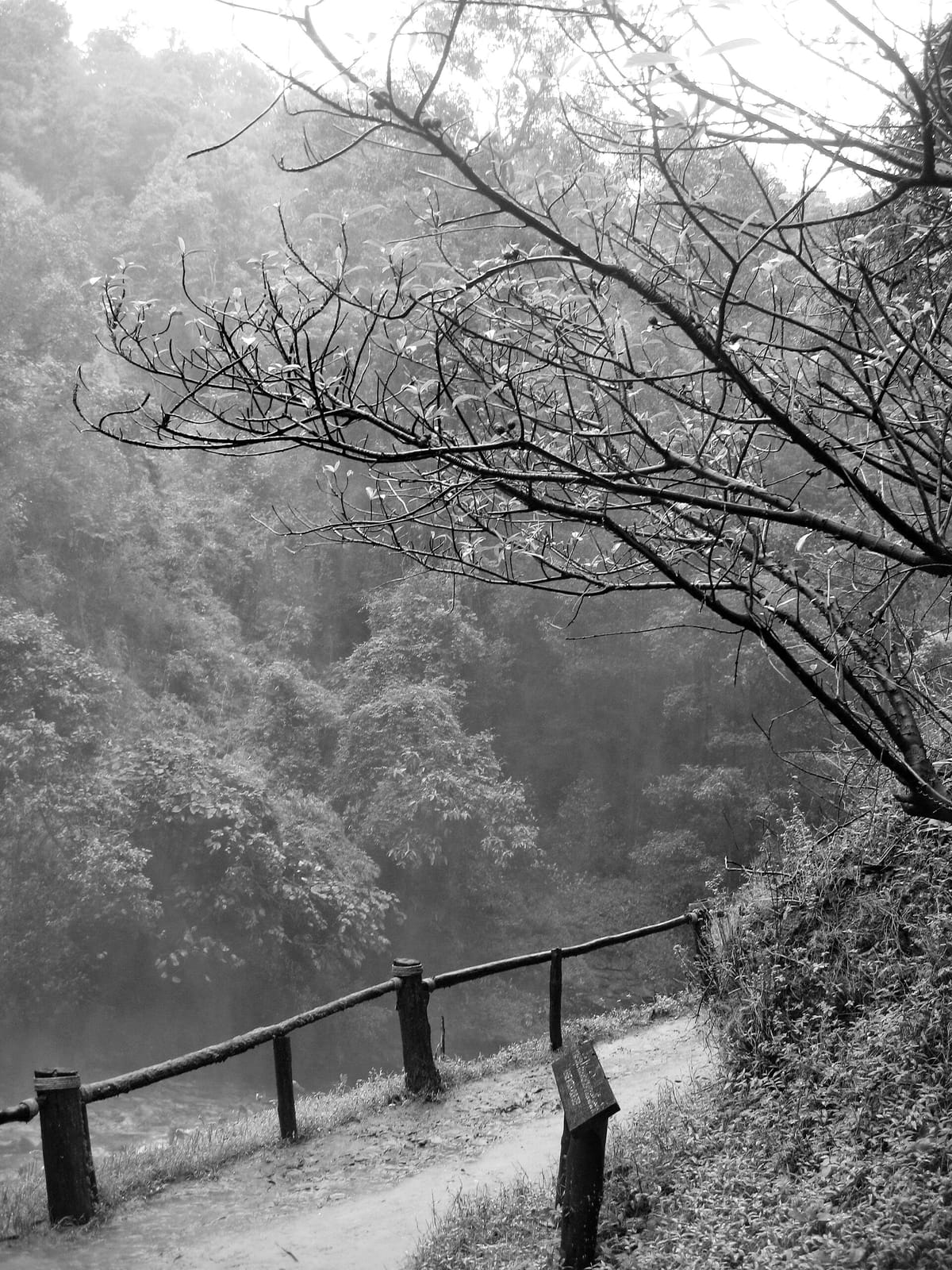 Wachirathan Coffee photo 3