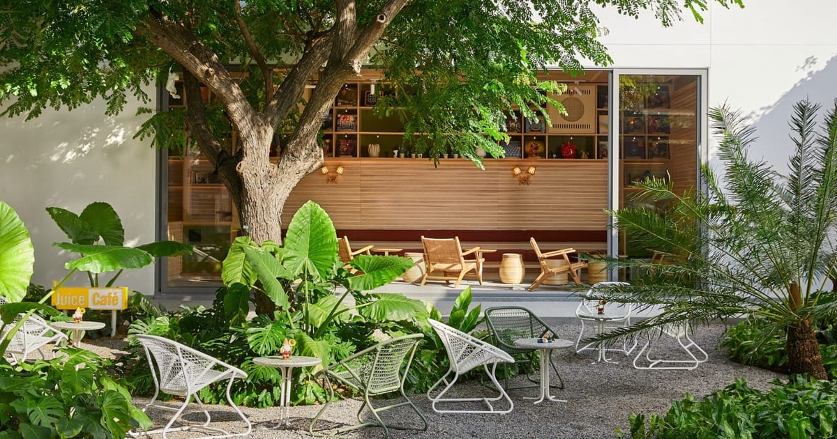 The Juice Cafe photo 2