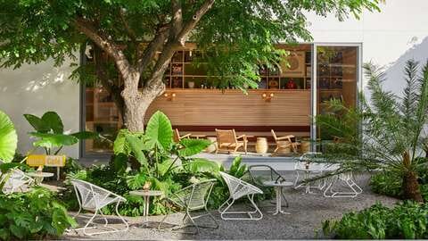 The Juice Cafe photo 3