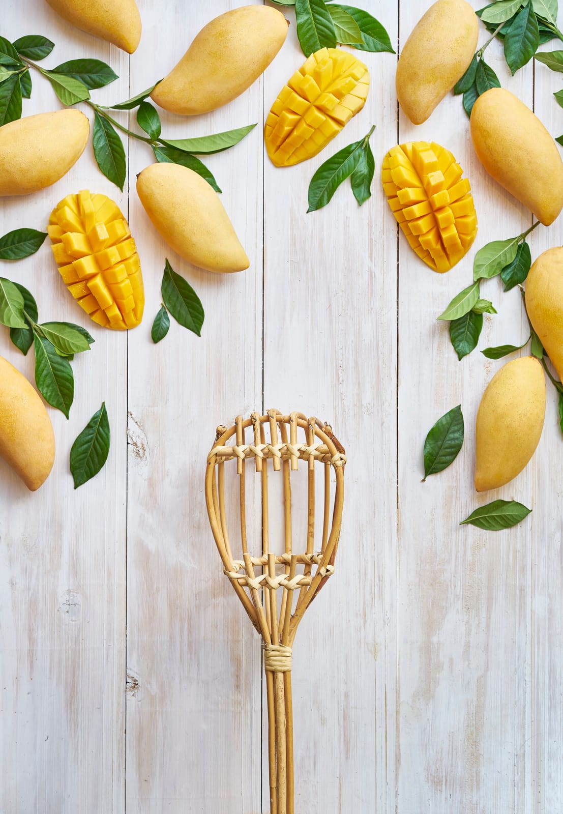 The Mango Garden