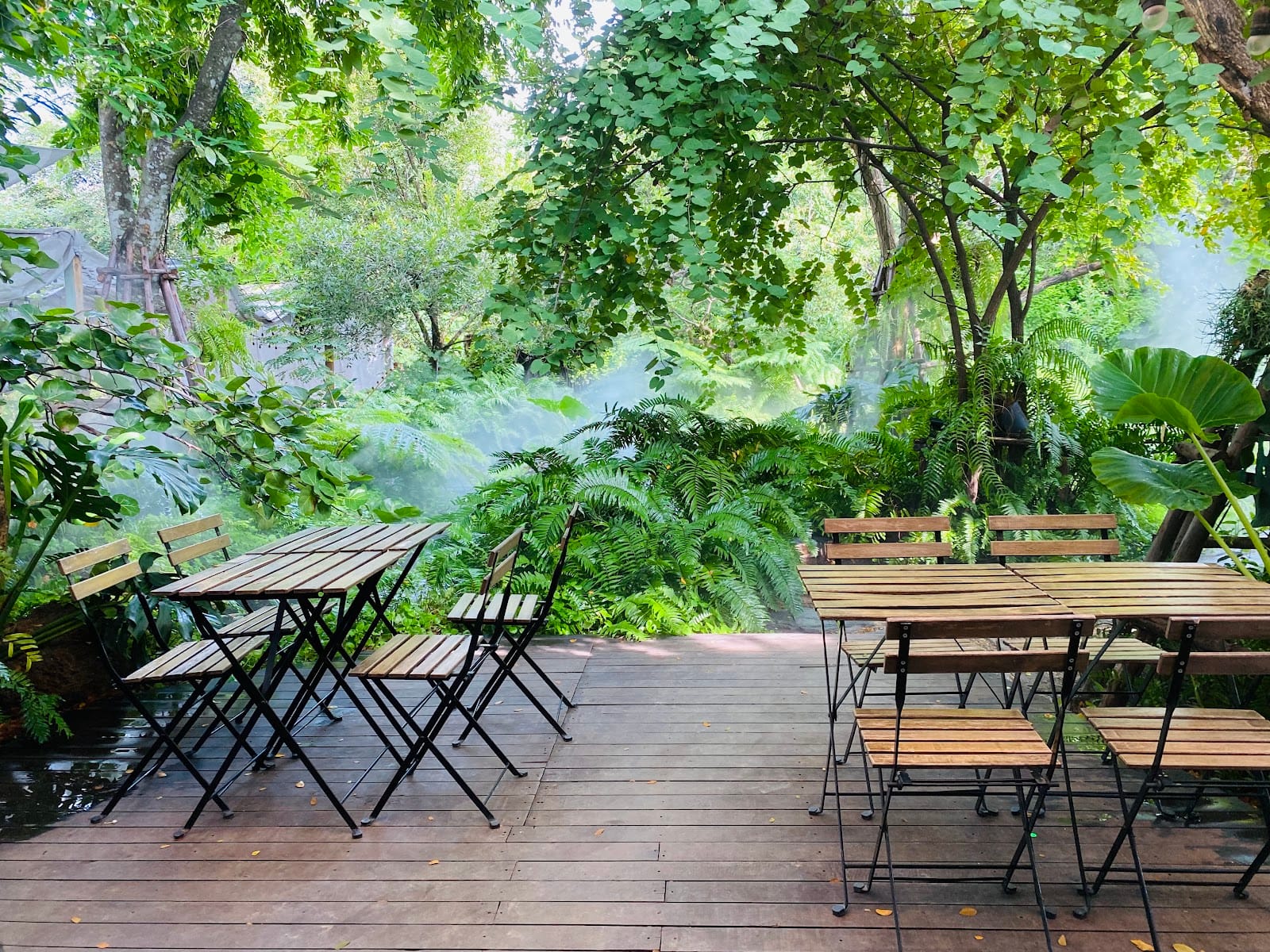 หมอก คาเฟ่ (Mok cafe)