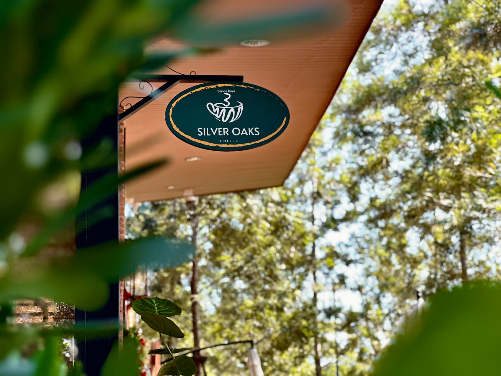 Silver Oaks Coffee