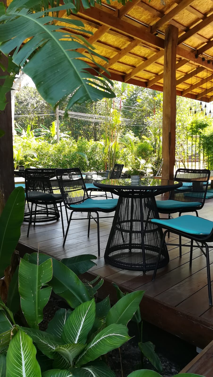 Fig cafe