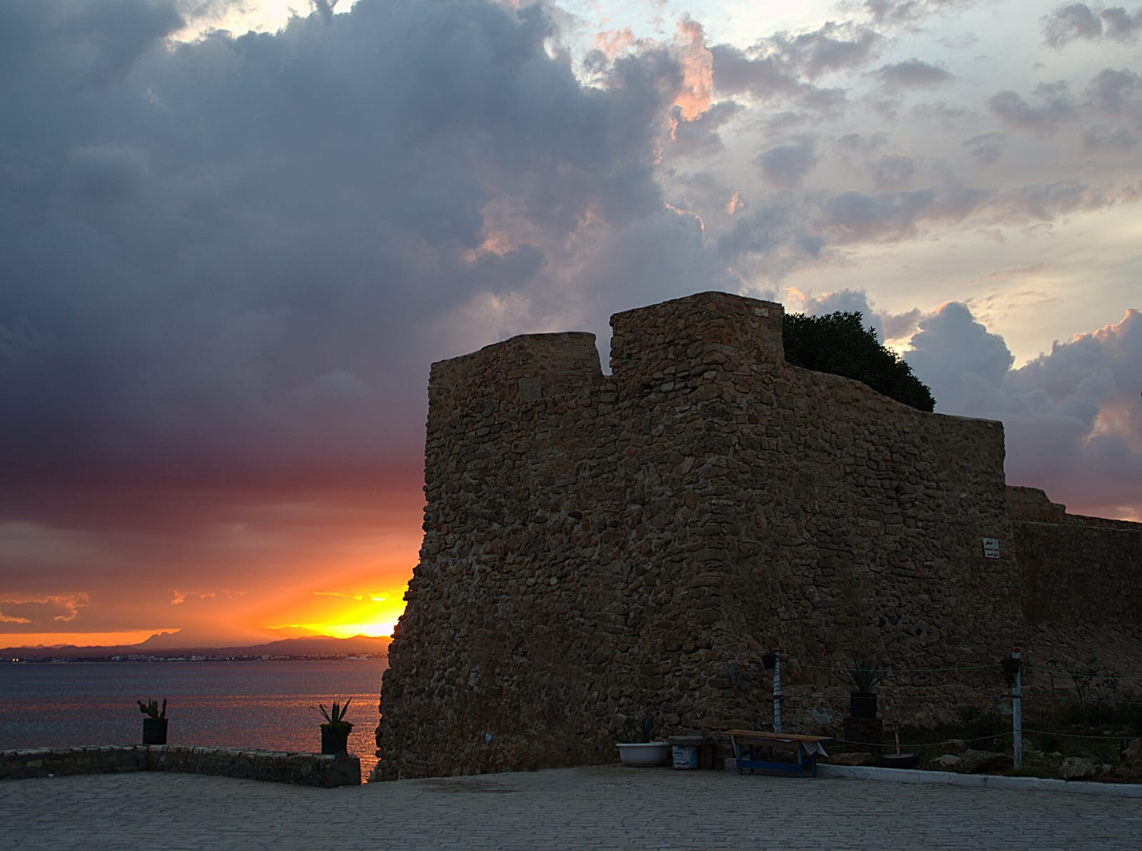 El Medina photo 4