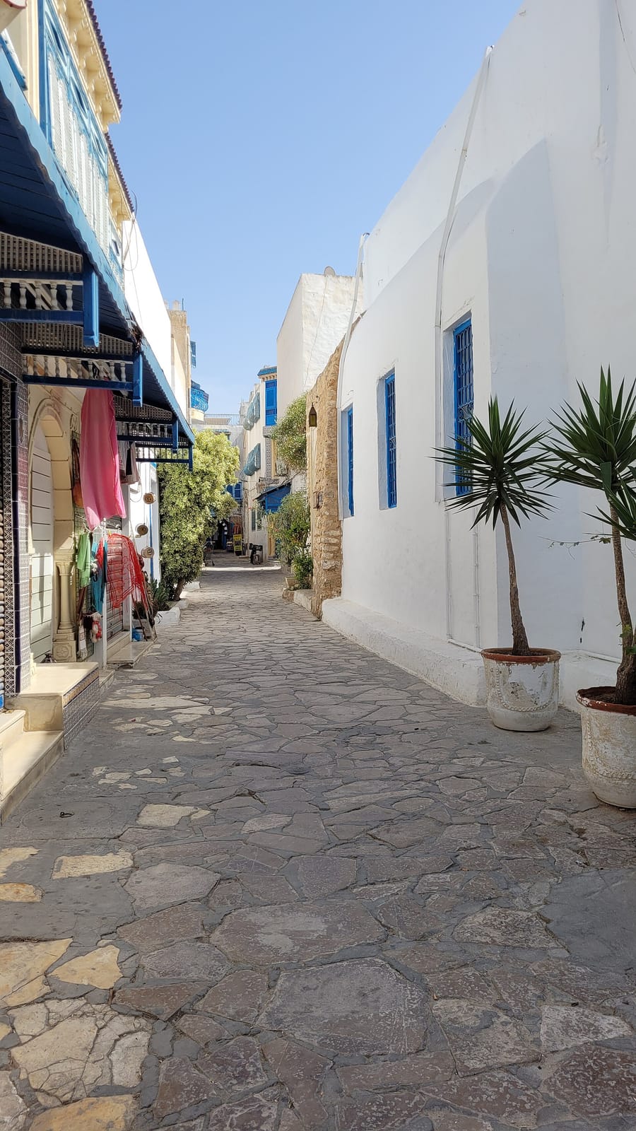 El Medina photo 5