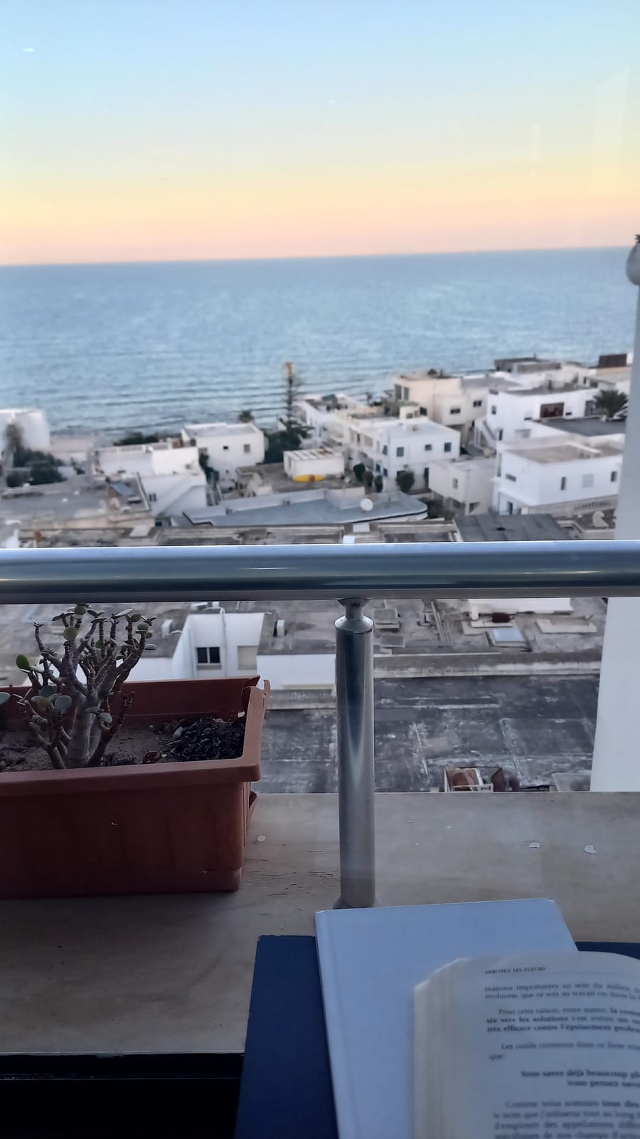 Café Zaphir