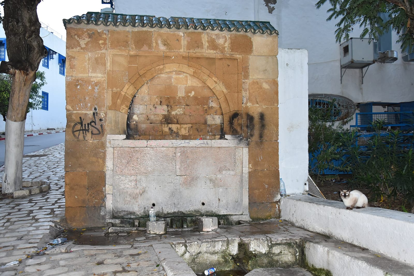 Ben Rahim - بن رحيم photo 2