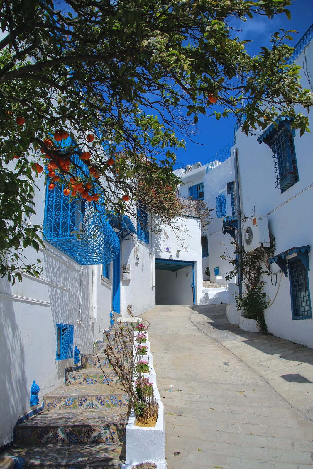 Café Sidi Azizi photo 5