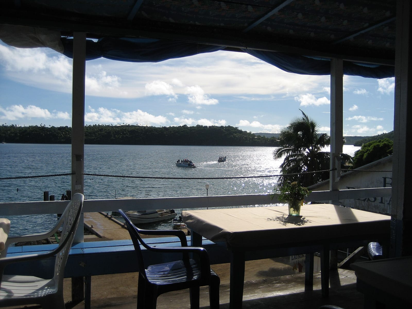Cafe Tropicana photo 3