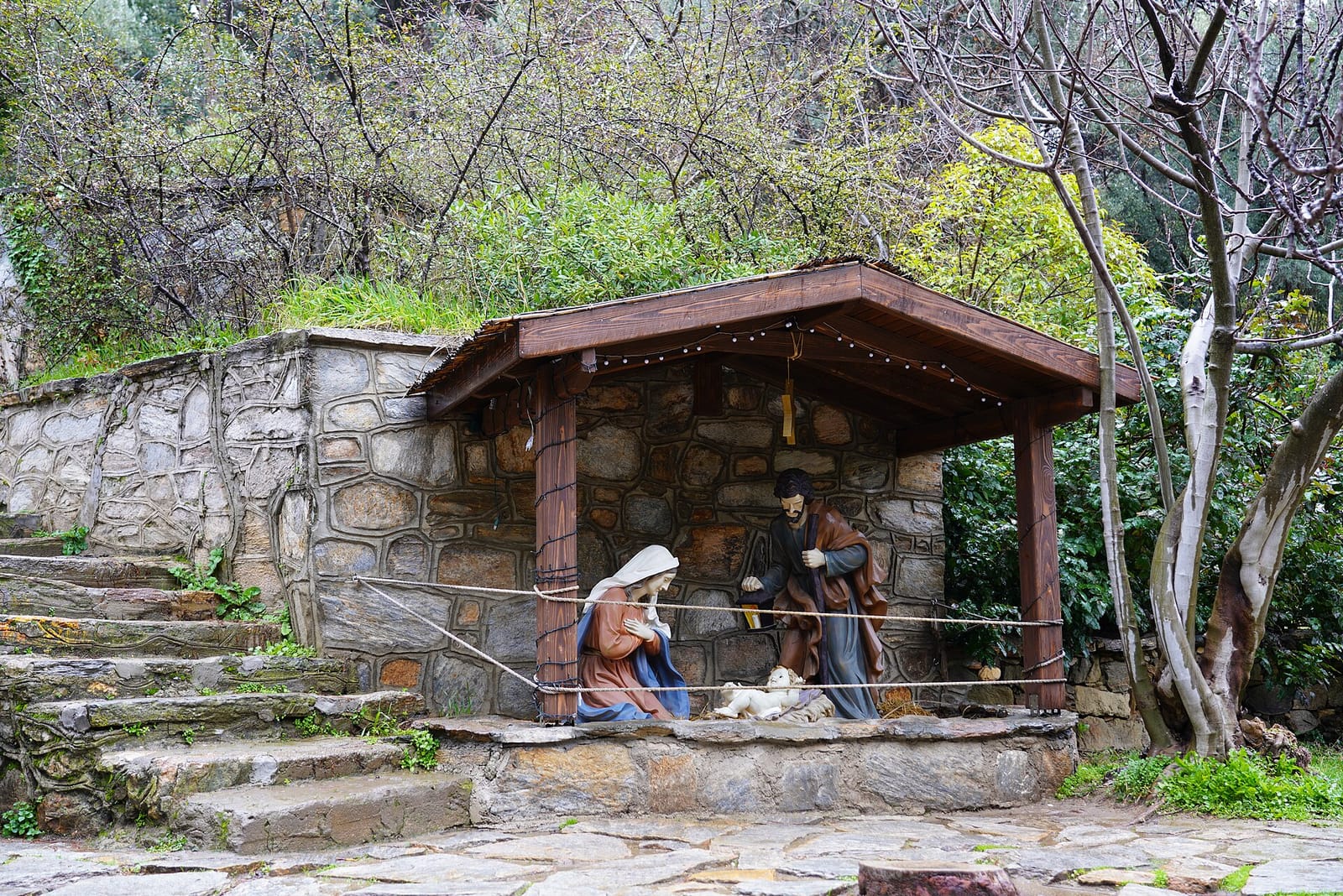 Cafe Turko photo 2