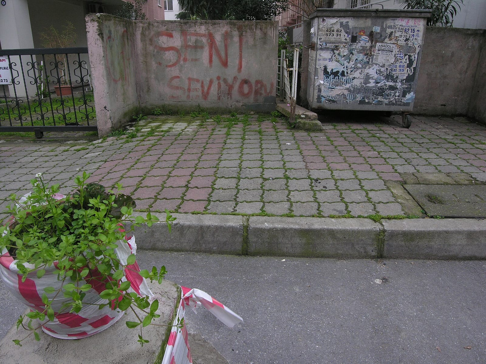 Fiyonk photo 2