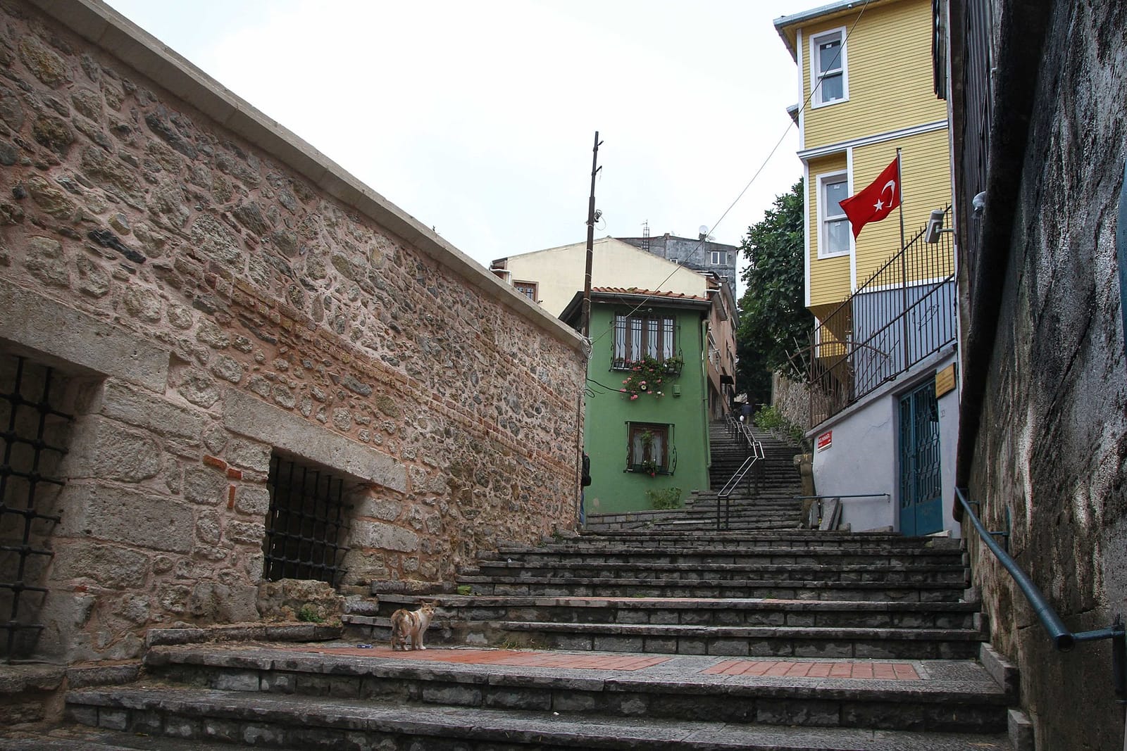 Aşiyan Books And Coffee photo 3