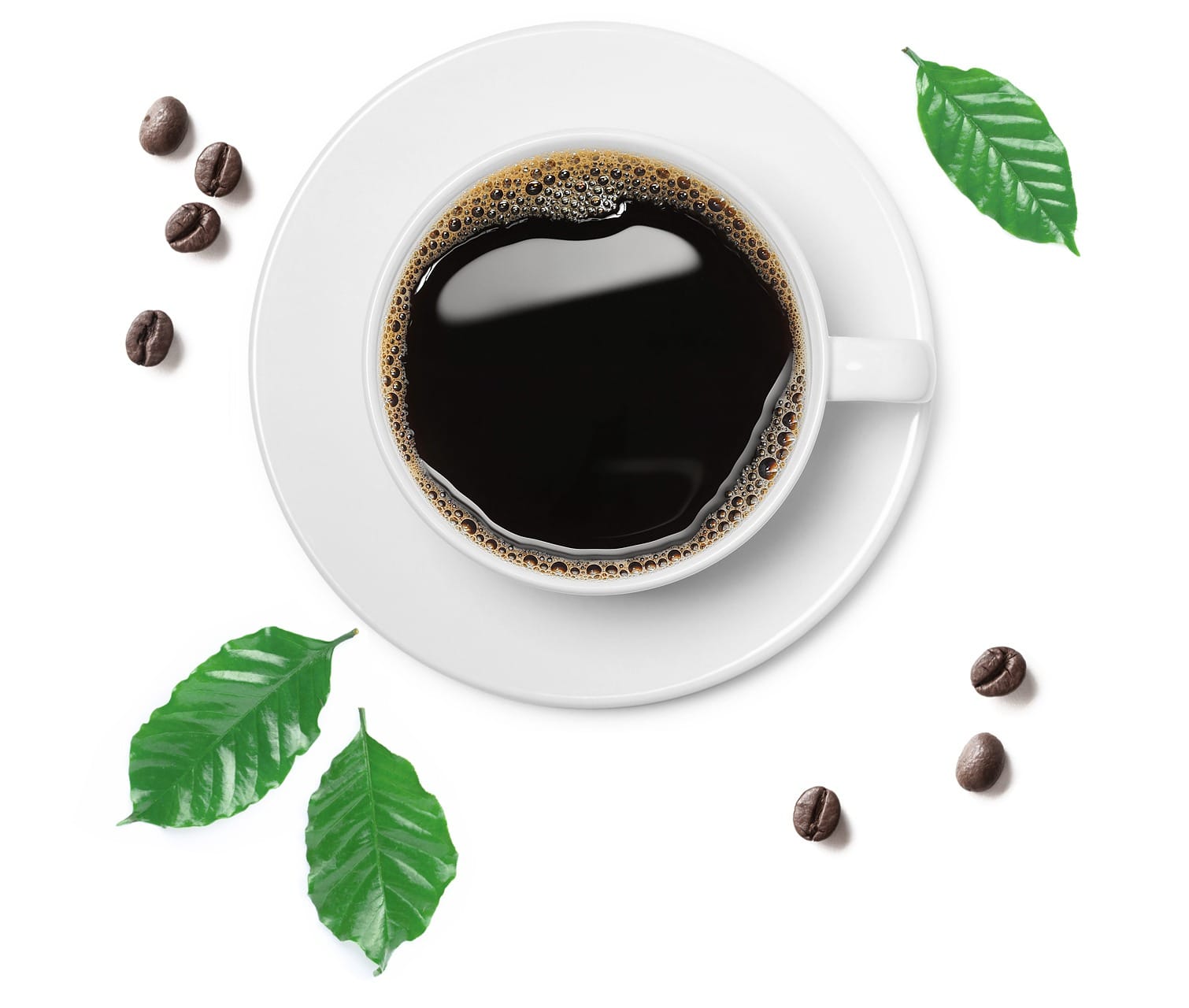 Coffee Lab photo 6